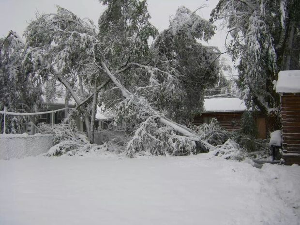 Winter Storm Atlas
